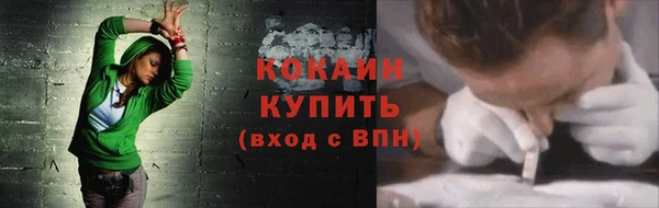 гидра Абаза