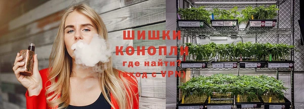 гидра Абаза